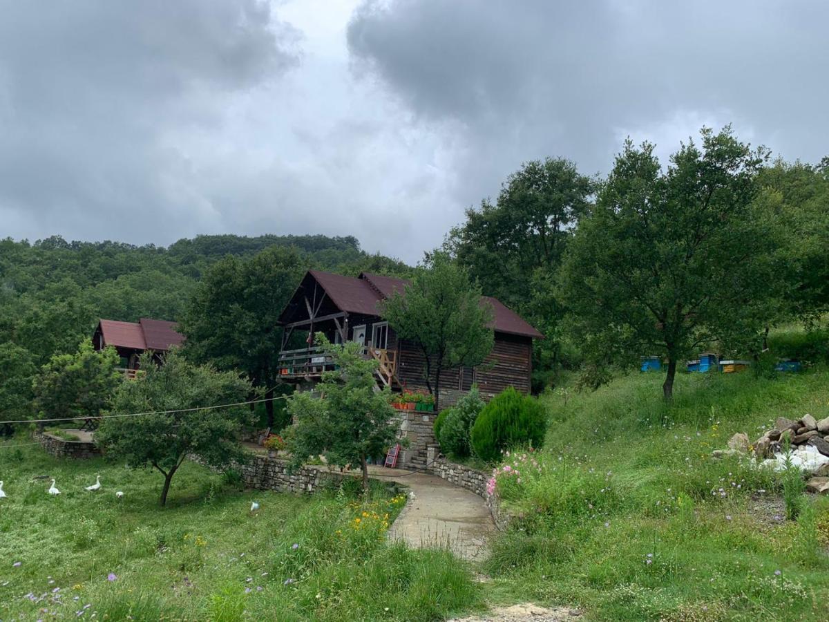 הוילה Përmet Origjina Farm מראה חיצוני תמונה